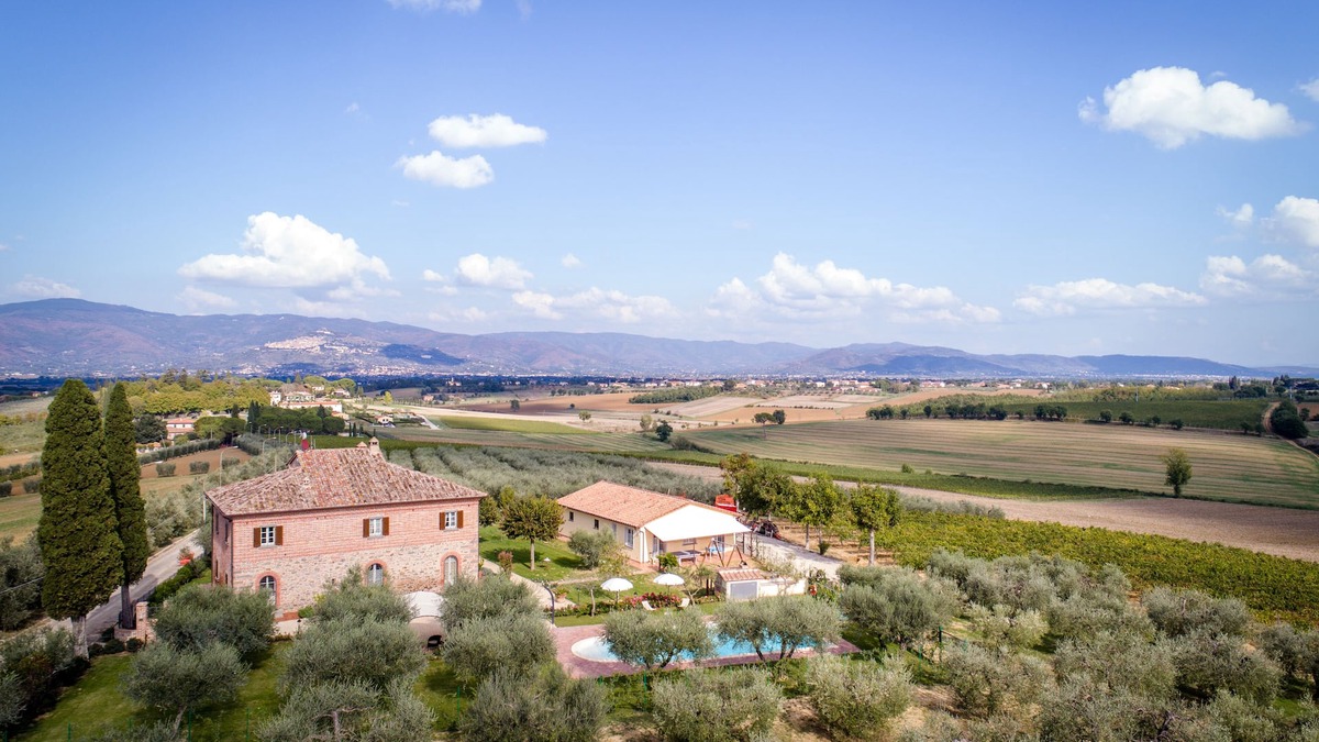 Cortona House | Farmhouse among olives trees and sunflowers- private pool and garden