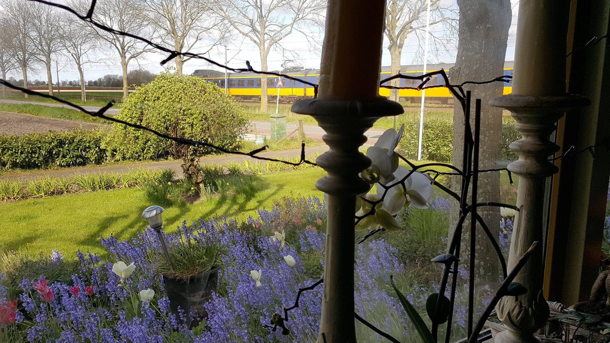 Westwoud House | Farmhouse at half-hour Amsterdam and 10 minutes Hoorn, Enkhuizen and Medemblik