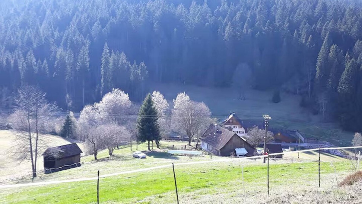 Erzgrube Other | Farmhouse Black Forest Seewald 100% nature bathing lake