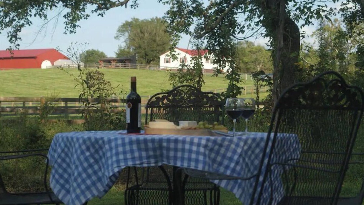 Pratts Other | Farmhouse close to Wedding venues, Wineries, breweries, shops. Dogs welcome!