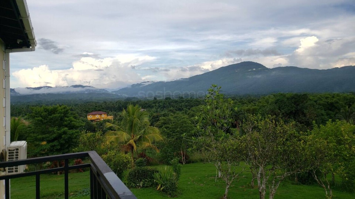 Spring Village House | Farmhouse Estate 30mins from Ocho Rios/Kgn