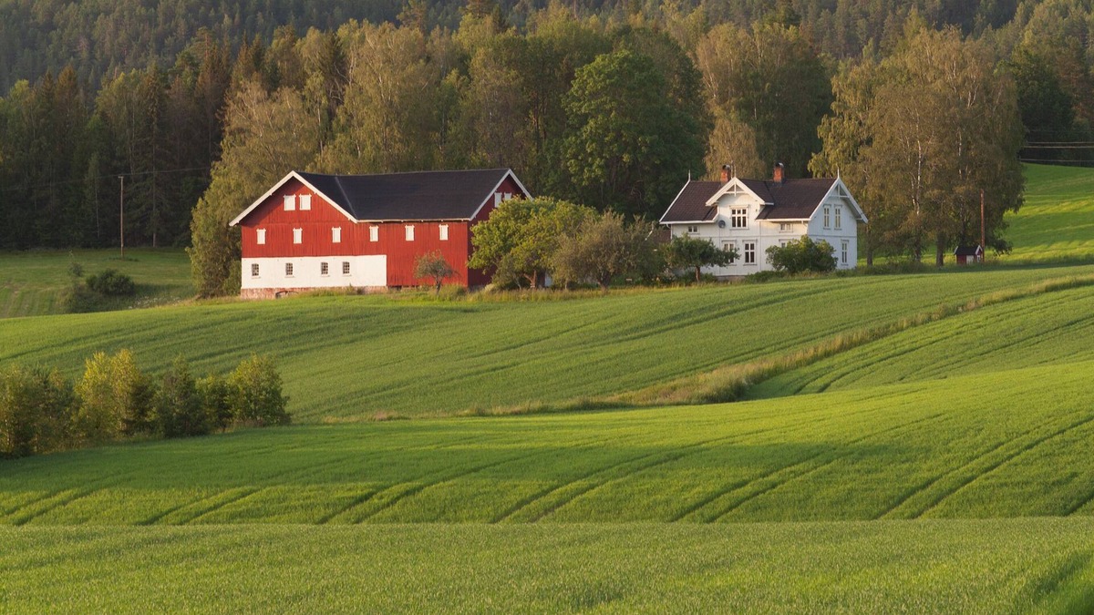 Nome Other | Farmhouse from the turn of the century with wood fired pizza oven