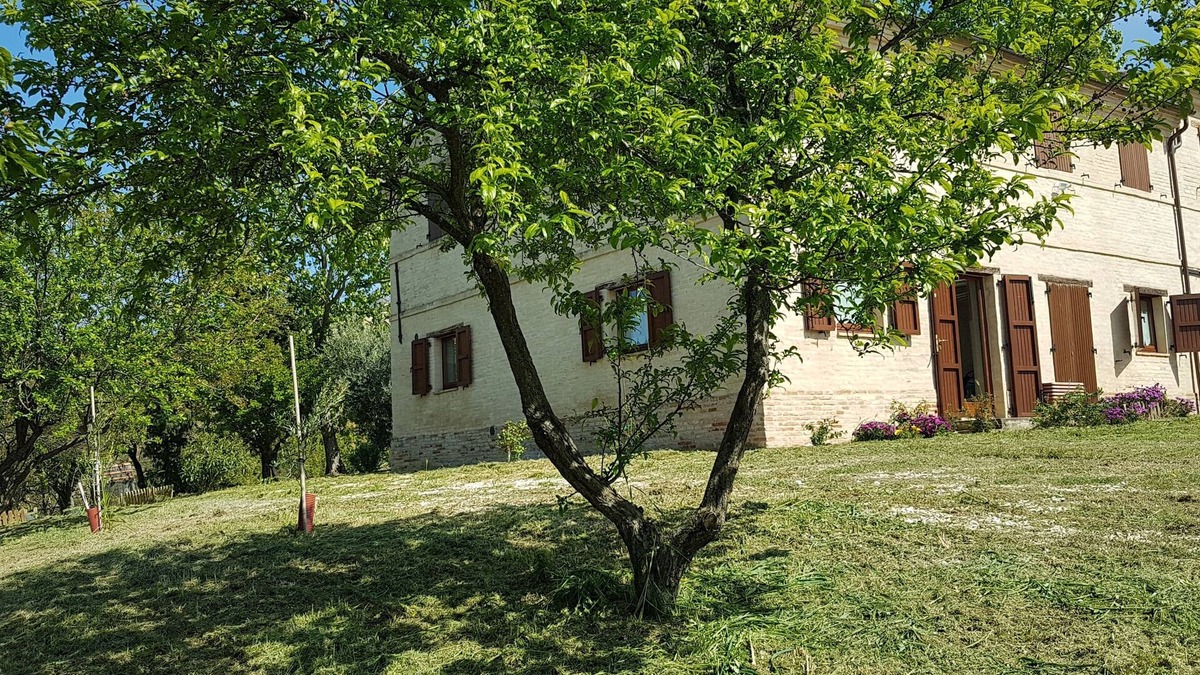 Rustico House | Farmhouse in the Conero Park
