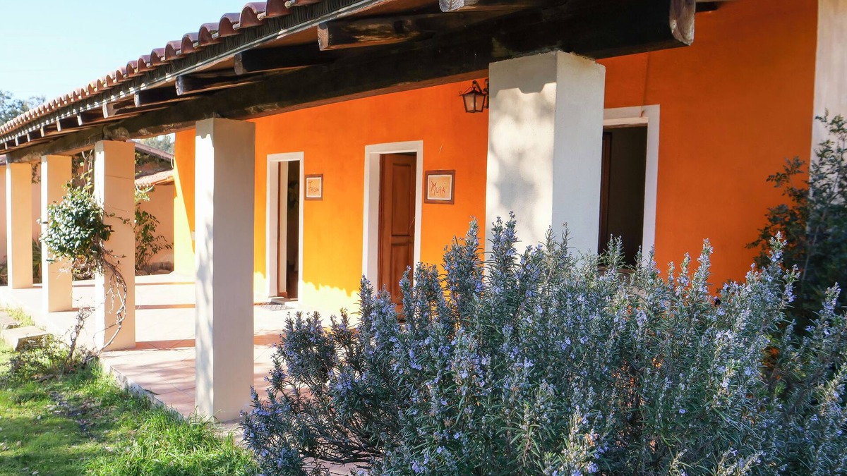 Ula Tirso Other | Farmhouse nestled in a cork oak forest with boungalows. Pets allowed