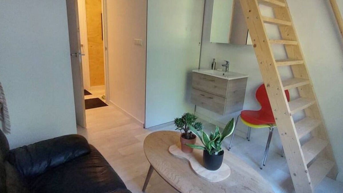 IJzendijke Other | Farmhouse with 3 fabulous studio's in Ijzendijke -´Vergroening´
