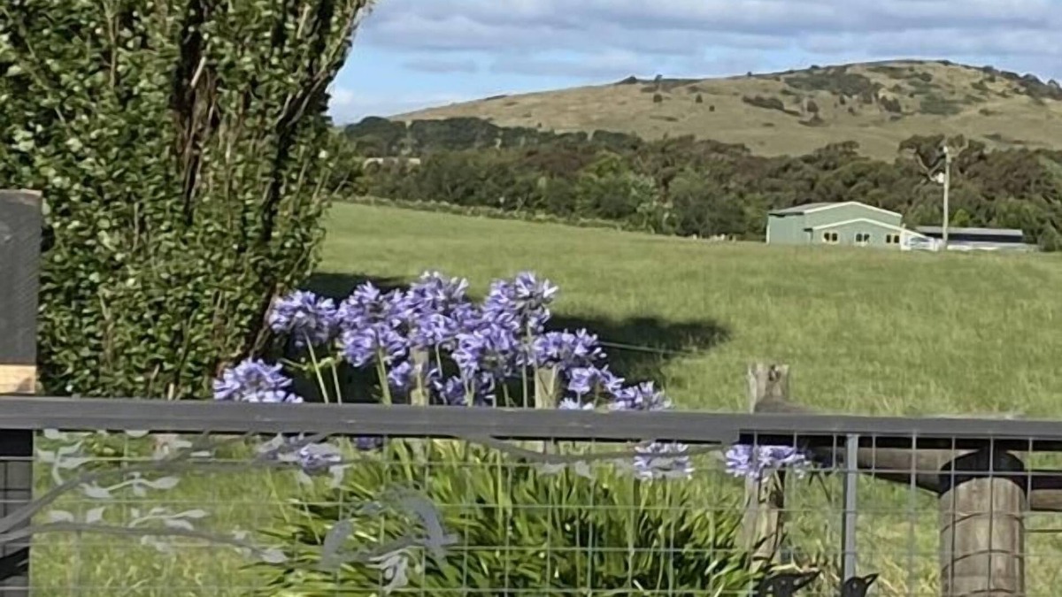 Blampied Other | Farmstay RetreatnFamily cottage Child & Pet friendly ornOma's romantic Retreat