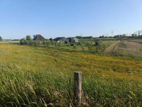 Oudeslius Bed & Breakfast | Farmstay Zijperdijk