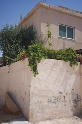 Wadi Musa House | Fatima House Traditional Bedouin Homestay Near Petra Women Only