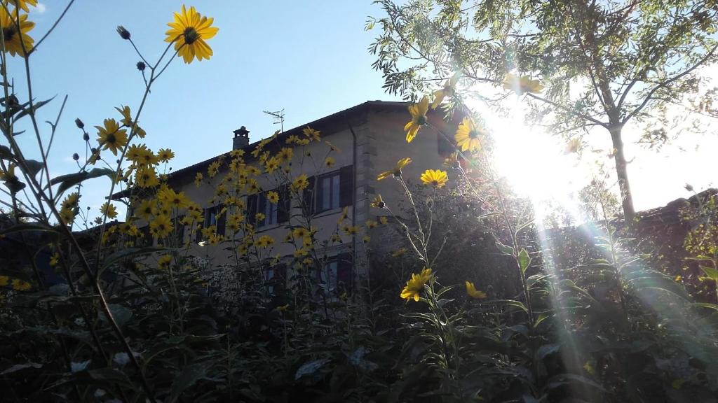 Roncoscaglia Bed & Breakfast | Fattoria La Guedrara