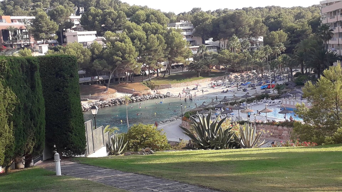 Cala Vinas Apartment | Favorite place in Mallorca, garden saltwater pool and direct sea access