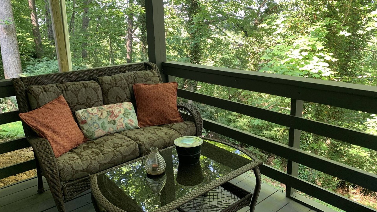 Brevard House | Feel Right At Home In This Spacious Retreat