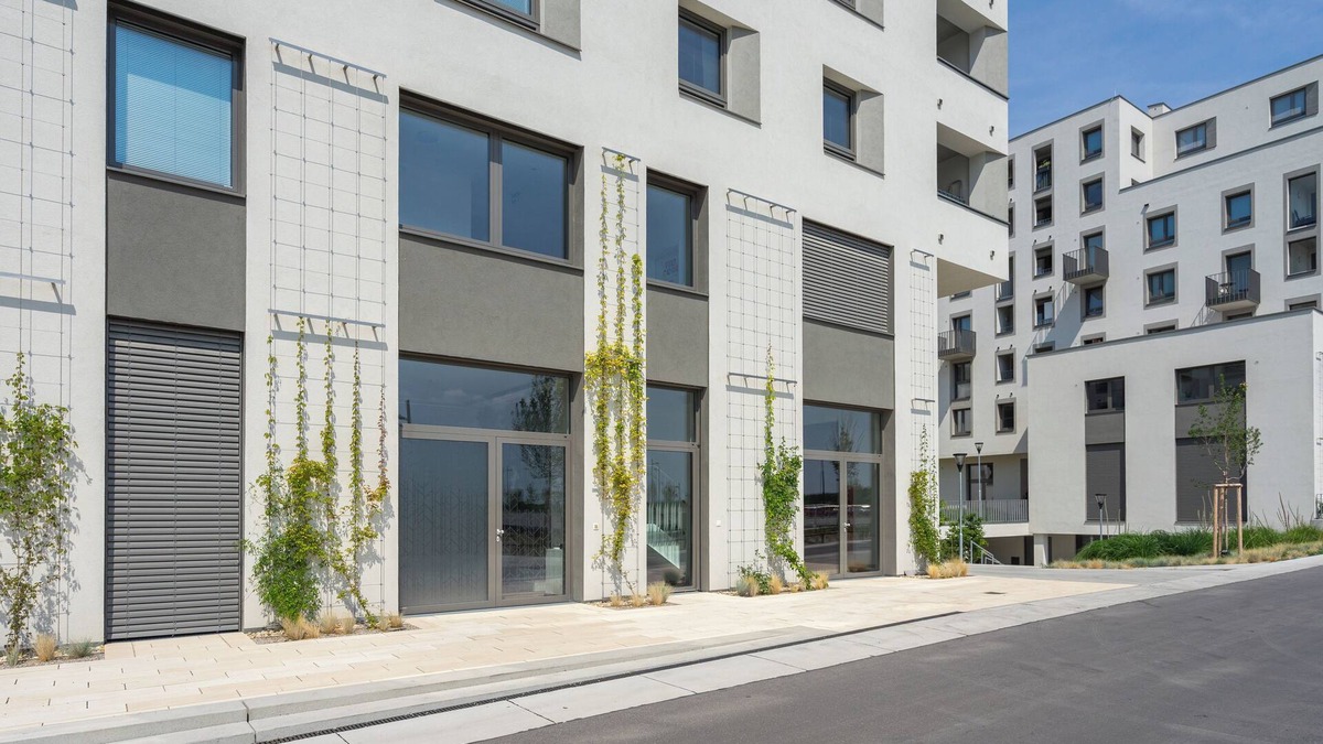 Wittau Apartment | FeelGood Apartments LakeLiving