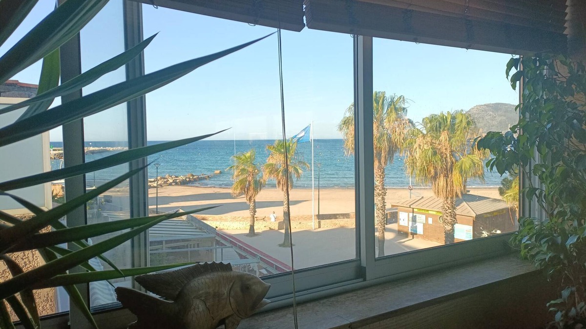 Les Sablettes Apartment | Feet in the water