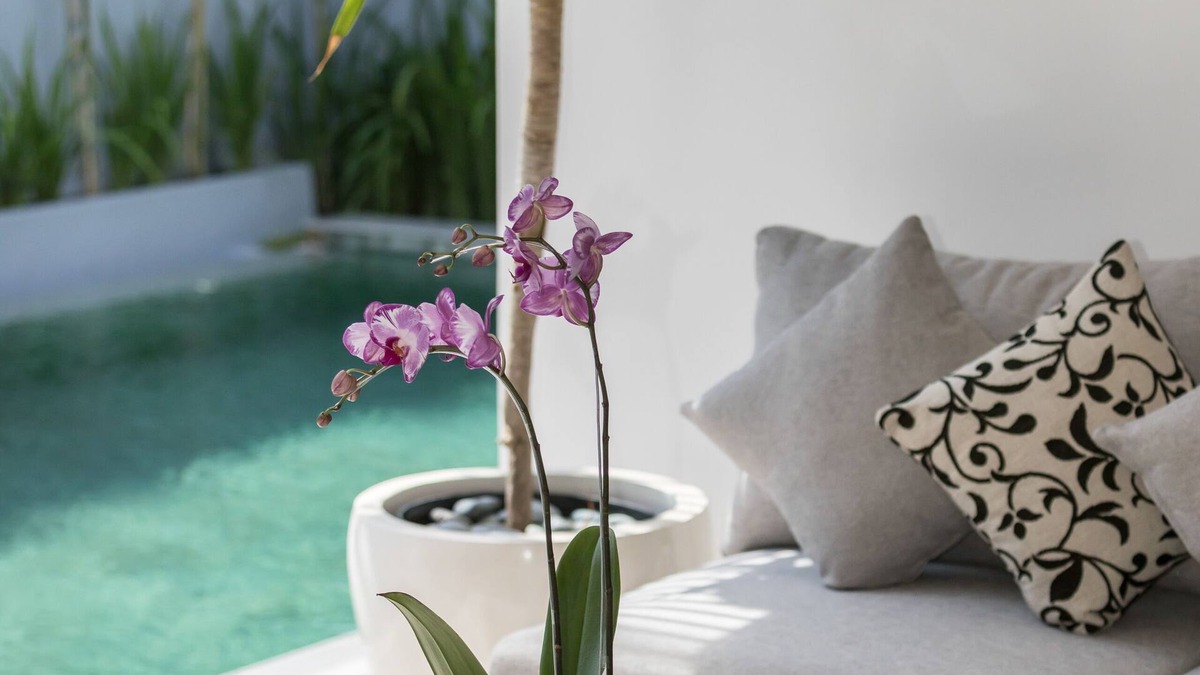 Sunset Road Villa | Fenosa Seminyak Villas by Nagisa Bali