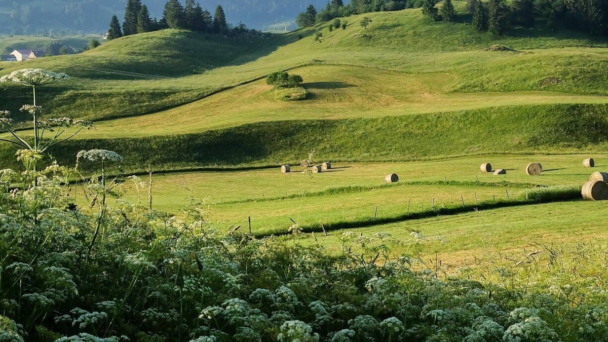 Saint-Pierre Apartment | Fenoula gîte in an old farmhouse in the Haut-Jura near the lakes