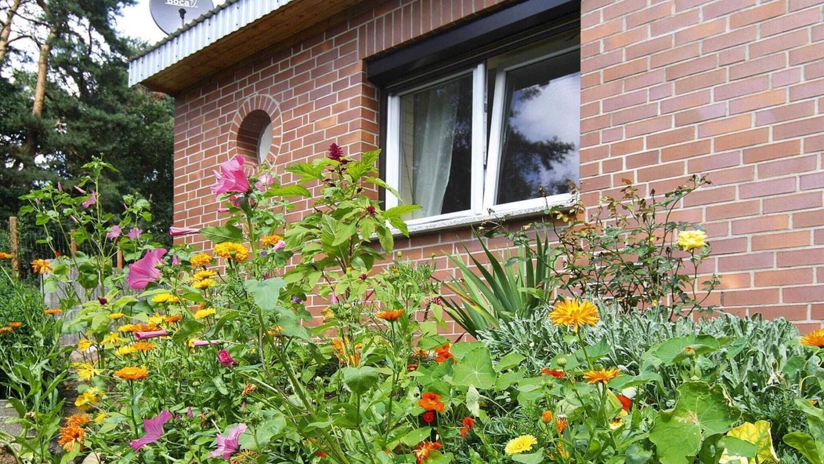 Feldberger Seenlandschaft House | Ferienhaus in der Feldberger Seenlandschaft