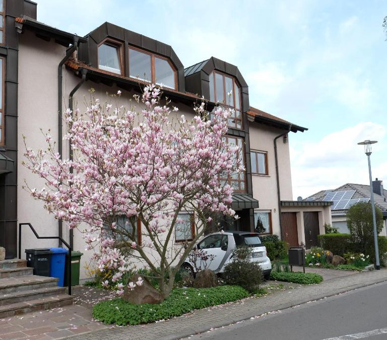 Wachenheim an der Weinstrasse Apartment | Ferienwohnung Unter dem Schwalbennest