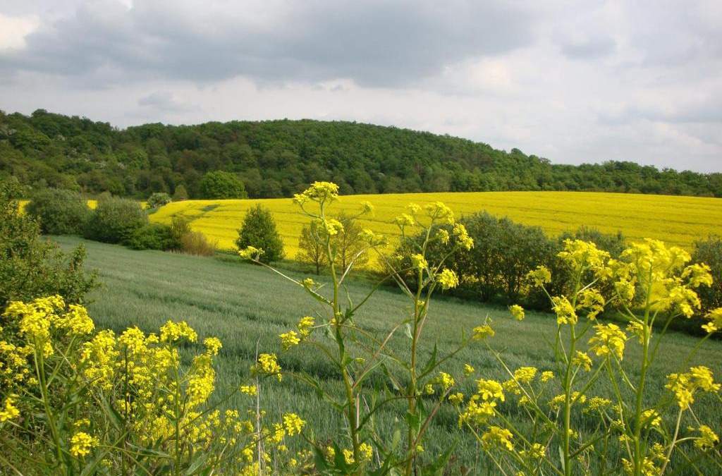 Gappenach Apartment | Ferienbauernhof Neumühle