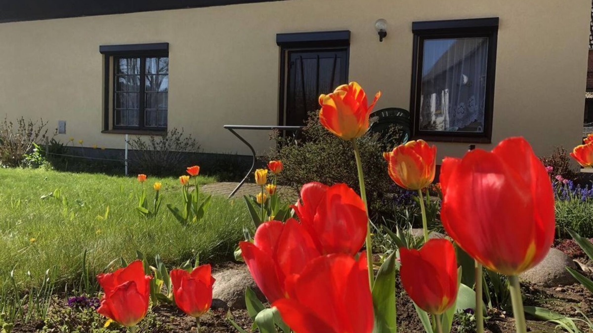 Banzkow Apartment | Ferienbungalow Familie Pohl - Holiday bungalow, shower, 1 bedroom