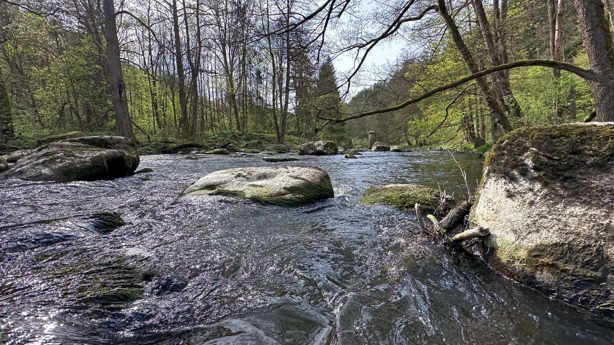 Neunburg vorm Wald House | Feriendorf Seeblick - Premium Tiny-Chalet mit Sauna und Hottub