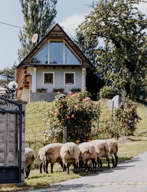 Fotschach House | Ferienhaus am HerbstHof