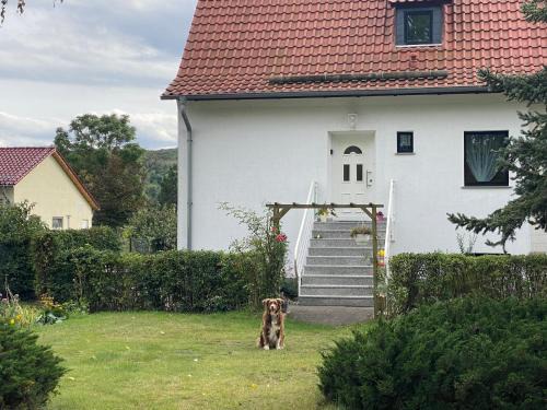 Neinstedt Apartment | Ferienhaus am Mühlgraben