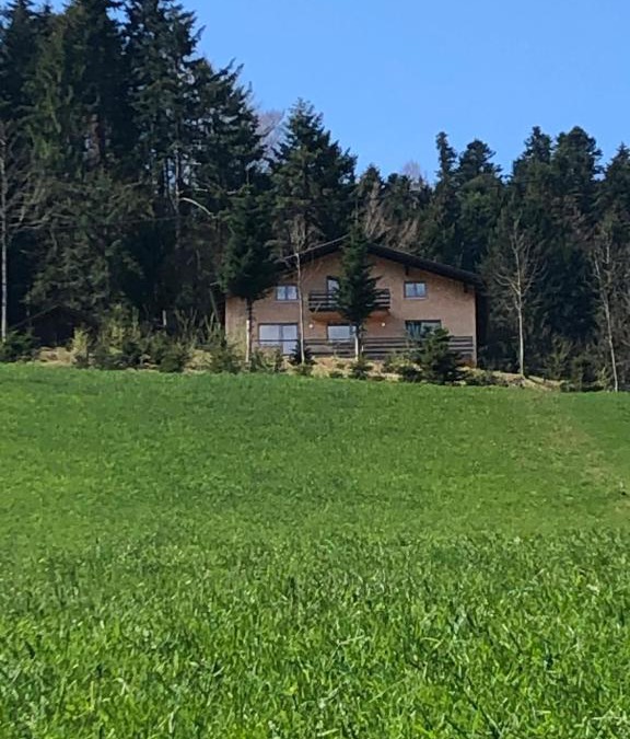 Grossdorf Apartment | Ferienhaus am Waldrand von Egg Bregenzer Wald