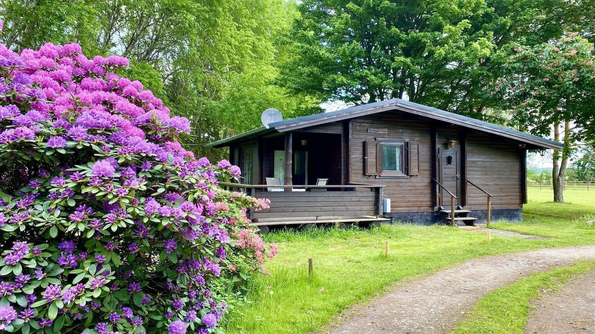 Eschede House | Ferienhaus auf einem Reiterhof