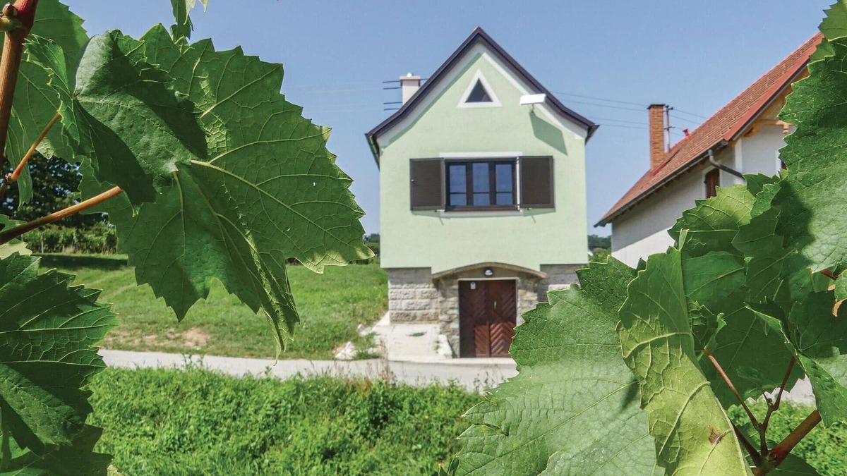 Deutsch Schuetzen-Eisenberg House | Ferienhaus Deutsch Schuetzen