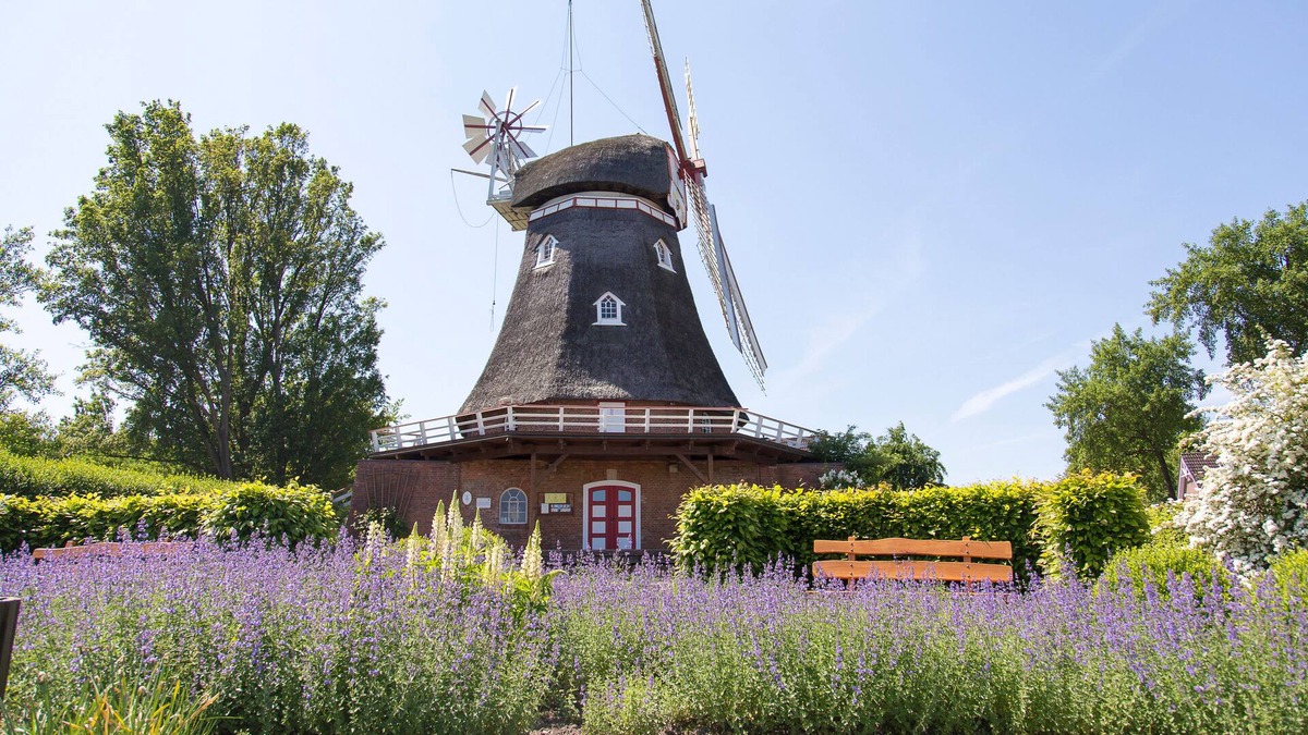 Bad Bederkesa House | Ferienhaus für 6 Gäste mit 78m² in Bad Bederkesa