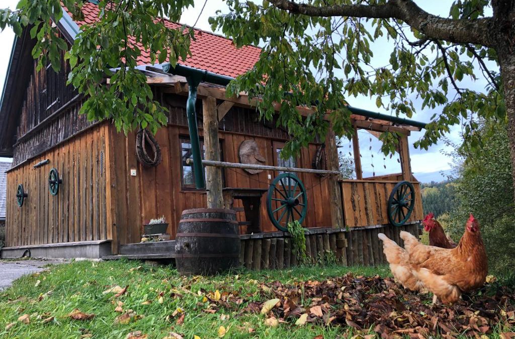 Langschlag Cabin | Ferienhaus FRIEDLHOF