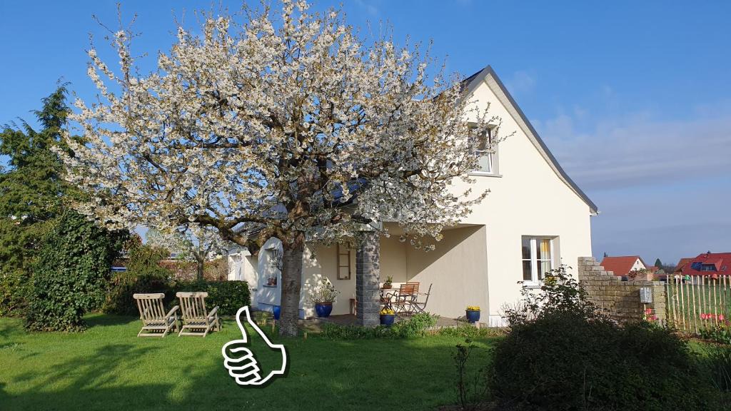 Laussnitz House | Ferienhaus Hummel-Nest