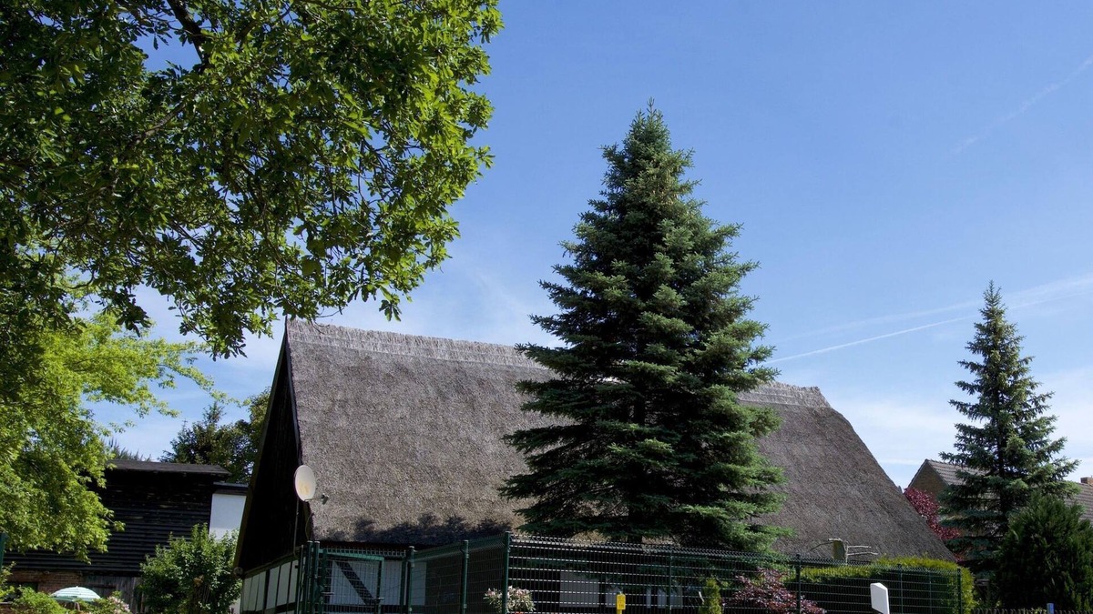 Ahlbeck House | Ferienhaus in Gegensee am Naturpark