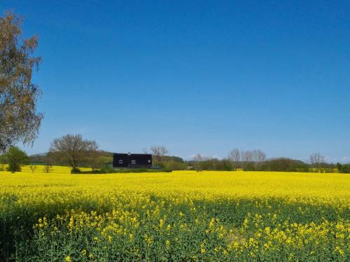 Schnarup-Thumby House | Ferienhaus Loimoos