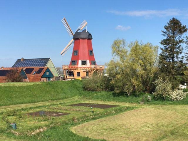Beidenfleth House | Ferienhaus Mühle "Neue Hoffnung"