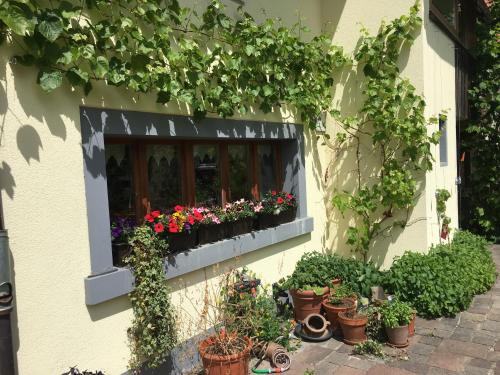 Andelfingen District House | Ferienhaus mit Naturgarten