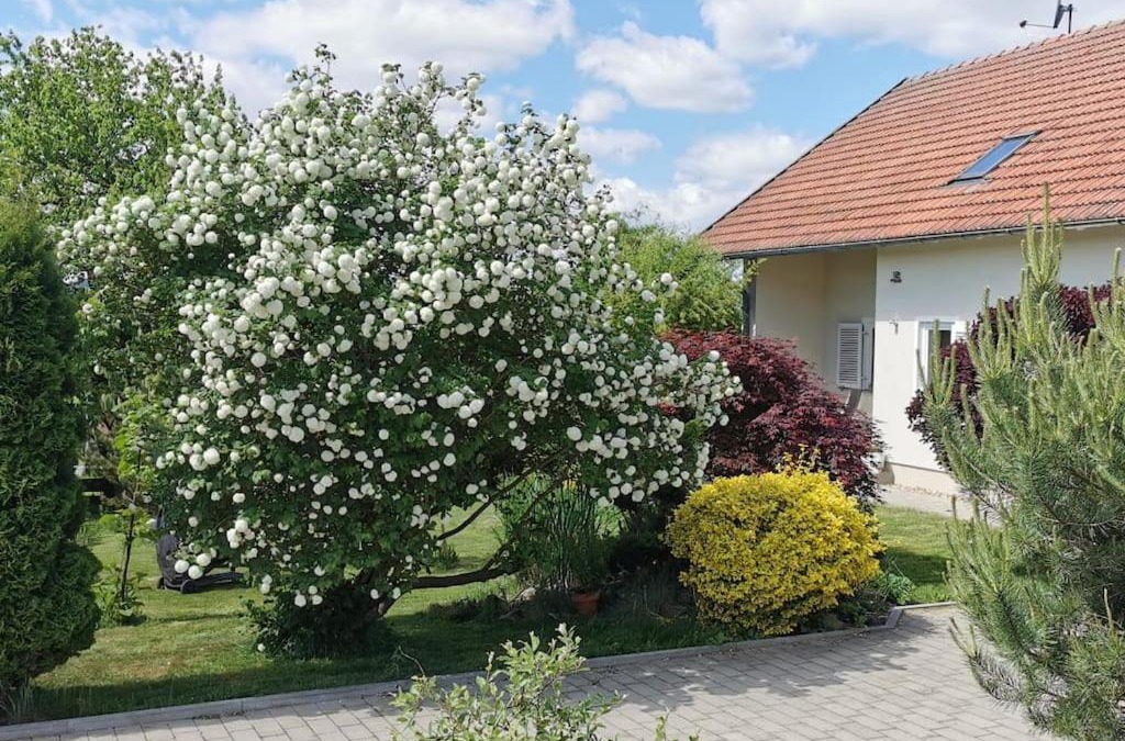Traitsching Apartment | Ferienhaus Ruhe Oase im Bayerischen Wald