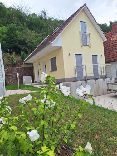 Wettin House | Ferienhaus Saaleblick
