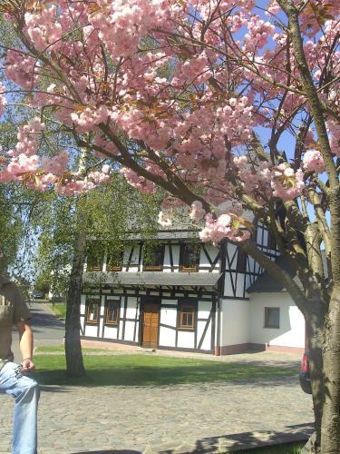 Frankweiler House | Ferienhaus Schmitt