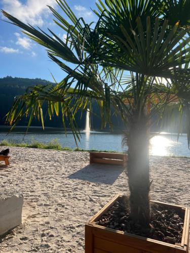 Biersdorf am See House | Ferienhaus Seeblick