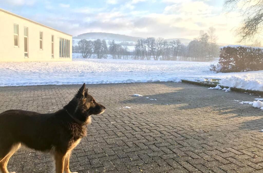 Alpenrod House | Ferienhaus Talblick