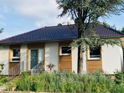Hofgeismar House | Ferienhaus Urwald