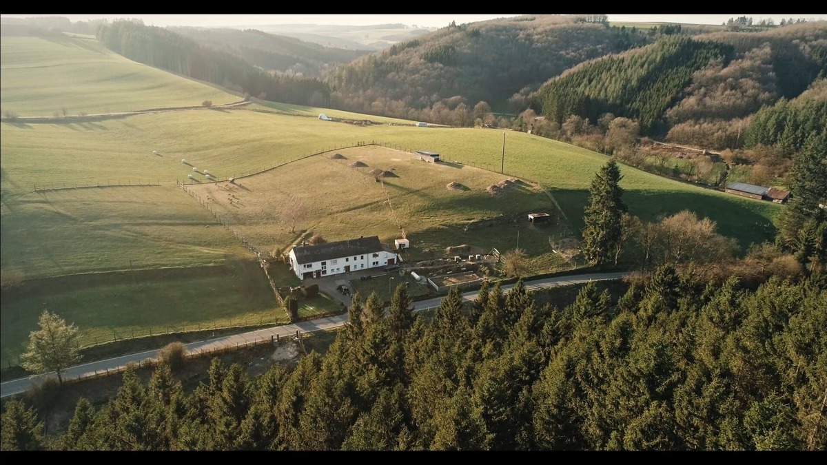 Winterspelt House | Ferienhaus Waldglück