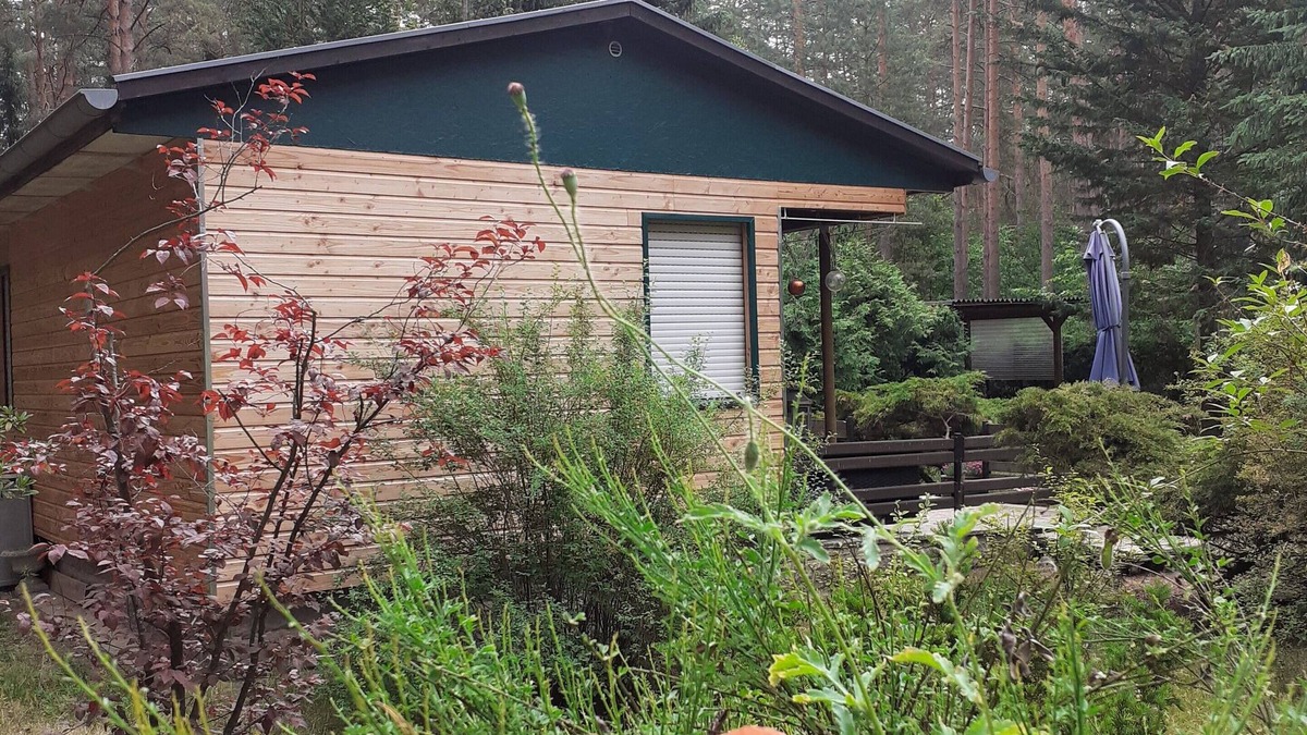 Busendorf House | Ferienhaus Waldoase für 2 - 3 Personen, Freistehend auf Eingezäuntem Grundstück