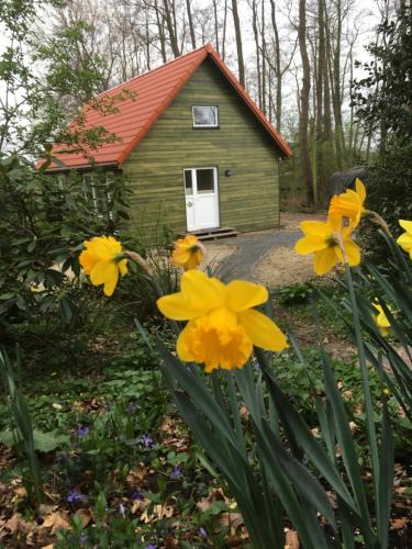 Viehland House | Ferienhof Ohlenbusch