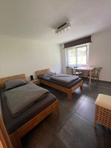 Wassen Apartment | Ferienregion Andermatt - Studio in Wassen