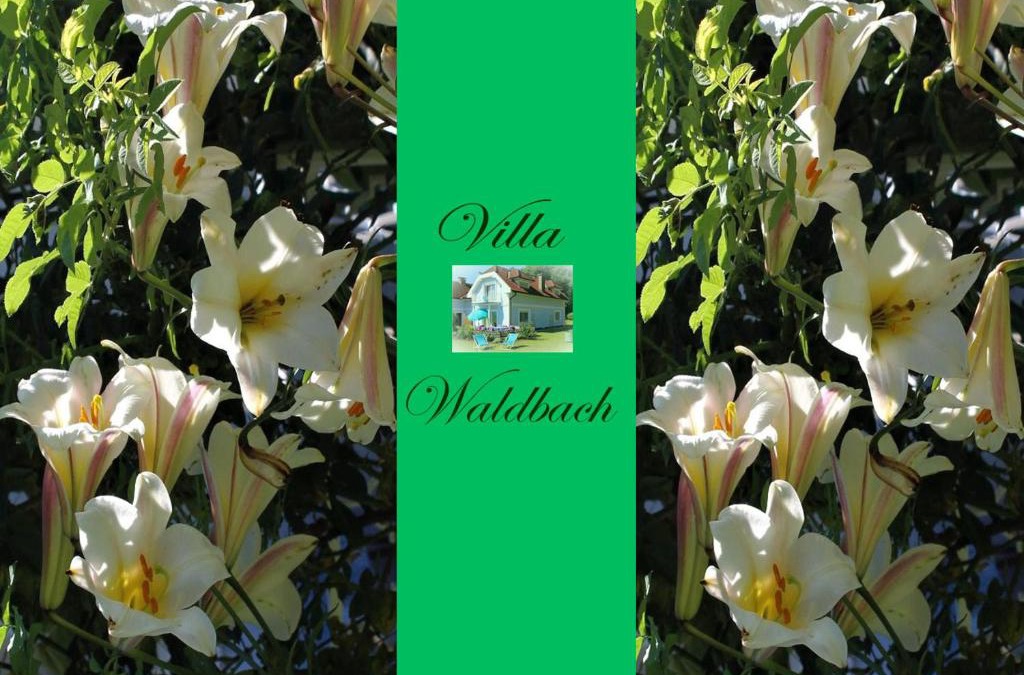 Krumpendorf am Woerther See Apartment | Ferienwohnung am Wörthersee Villa Waldbach