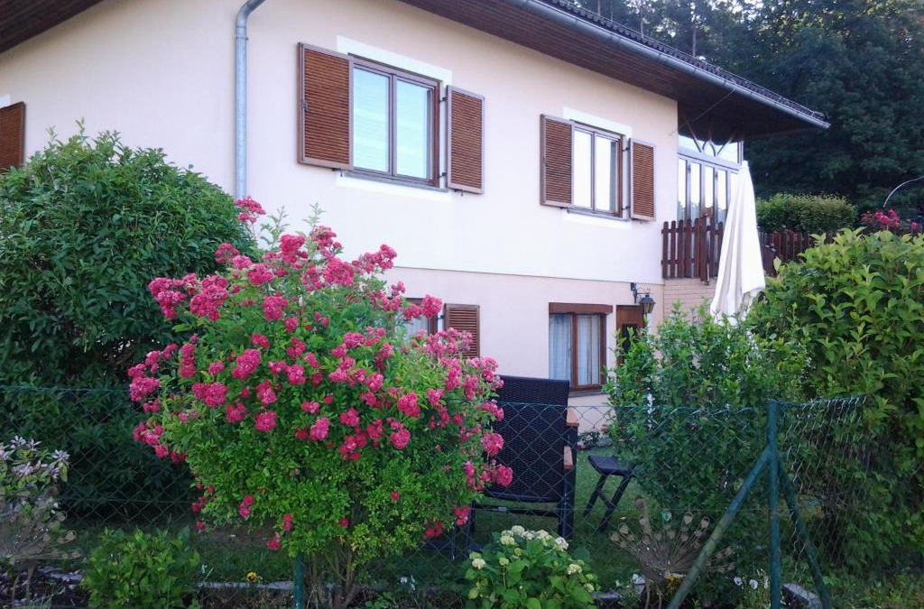 Puchegg Apartment | Ferienwohnung-Hajek