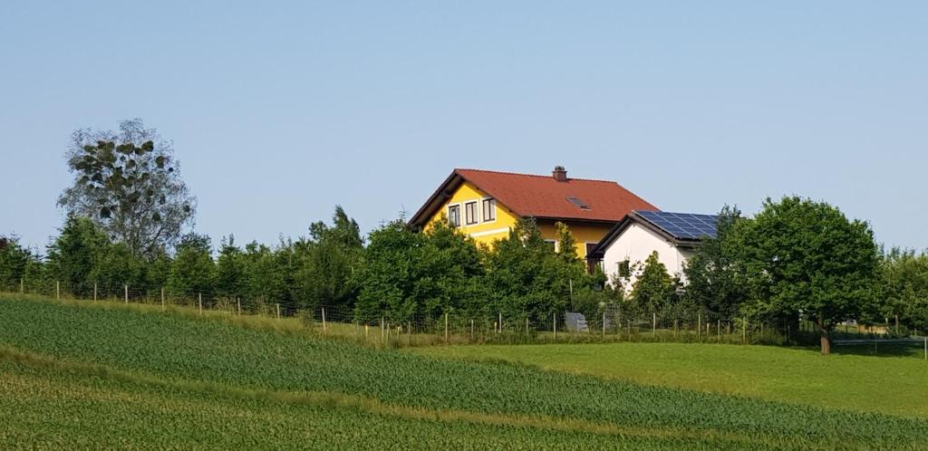Mettersdorf am Saßbach Apartment | Ferienwohnung Lückl