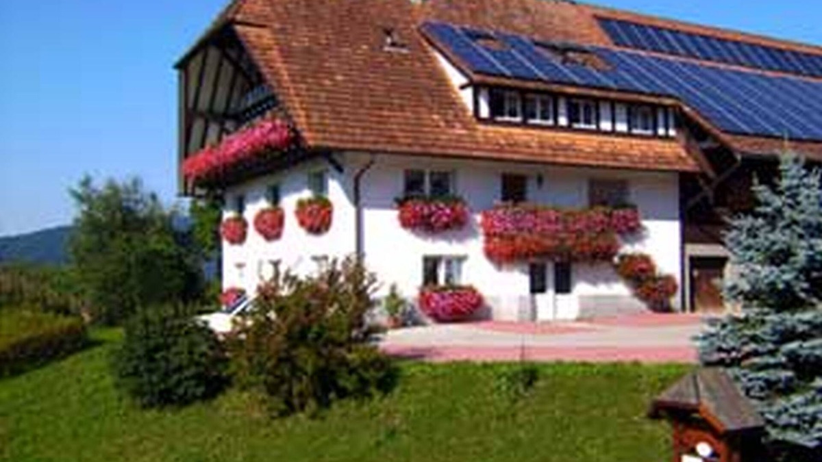 Odsbach Apartment | Ferienwohnung 1, 65qm, 1 Schlafzimmer, 1 Wohn-/Schlafraum, max. 4 Personen